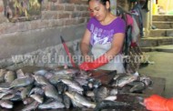 Ante la necesidad existente, mujeres de Petatán incursionan como pescadoras