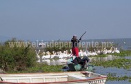 Señalan corrupción de Guardias Federales de Pesca