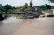 Reportan pérdidas en cosecha de garbanzo por lluvias