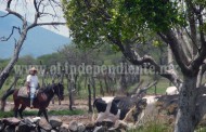 Afectado el sector primario en la producción de leche