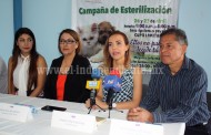 México,  1er  lugar en abandono de animales de compañía