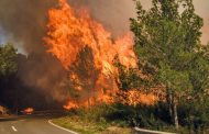 Mil hectáreas afectadas en la región  por incendios forestales