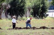 Abren oportunidad para fortalecer actividad agrícola con proyectos para tecnificación