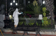 Realizan fumigación en plaza principal para erradicar plaga en Palmas y Árboles