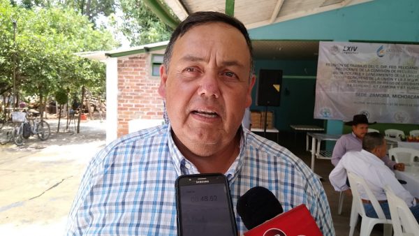 Alistan 1 500 hectáreas de papa para próximo temporal en Meseta Purépecha
