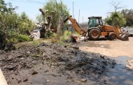 Problema de invasiones, no termina en márgenes de drenes y canales