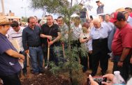 Día Internacional del Árbol es celebrado con creación de parque lineal.