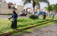 Áreas verdes de Villa Las Flores y Balcones de Zamora son atendidos por el Gobierno Municipal