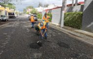 Recibe acciones de bacheo y poda fraccionamiento Las Fuentes