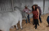 EXPO GANADERA RECIBE A CIENTOS DE ASISTENTES EN LA FERIA DE LA FRESA