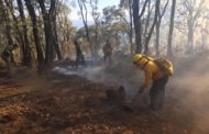 A la alza los incendios forestales en  región Lerma- Chapala