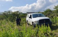 Hallan dos cadáveres semi-enterrados en narcocampamento de Zamora