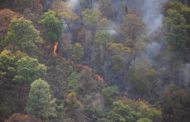 Atienden Estado y Federación incendio en Tacámbaro