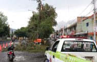 Zamora se prepara para temporada de lluvias