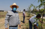 Reconstruye y rescata gobierno zamorano   parque lineal Luis Hernández