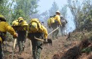 Controlado 90 por ciento de incendio en El Cacique