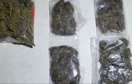 En Tarecuato, SSP aseguró a 4 en posesión de marihuana