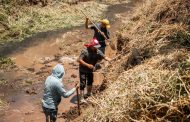 Inicia limpieza del Río Santuario en Tangancícuaro