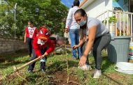 Reforestan em kinder de Los Sabinos Jacona