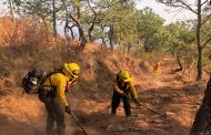 A la baja incendios forestales; cada vez hay menos superficie boscosa