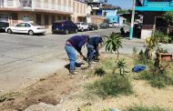 Realizan rehabilitación de área verde en colonia Generalísimo Morelos