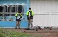 A balazos matan a un hombre en la colonia Francisco J. Mújica