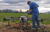 Ofrecen análisis y diagnóstico mejorar la calidad de la agroindustria y agricultura