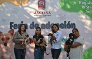 Realizan con éxito la primera feria de adopción de perros y gatos en Jacona