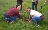 Reforestan parque del DIF Jacona 