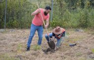 Reforestan con más de 100 árboles el Parque Nacional Lago de Camécuaro