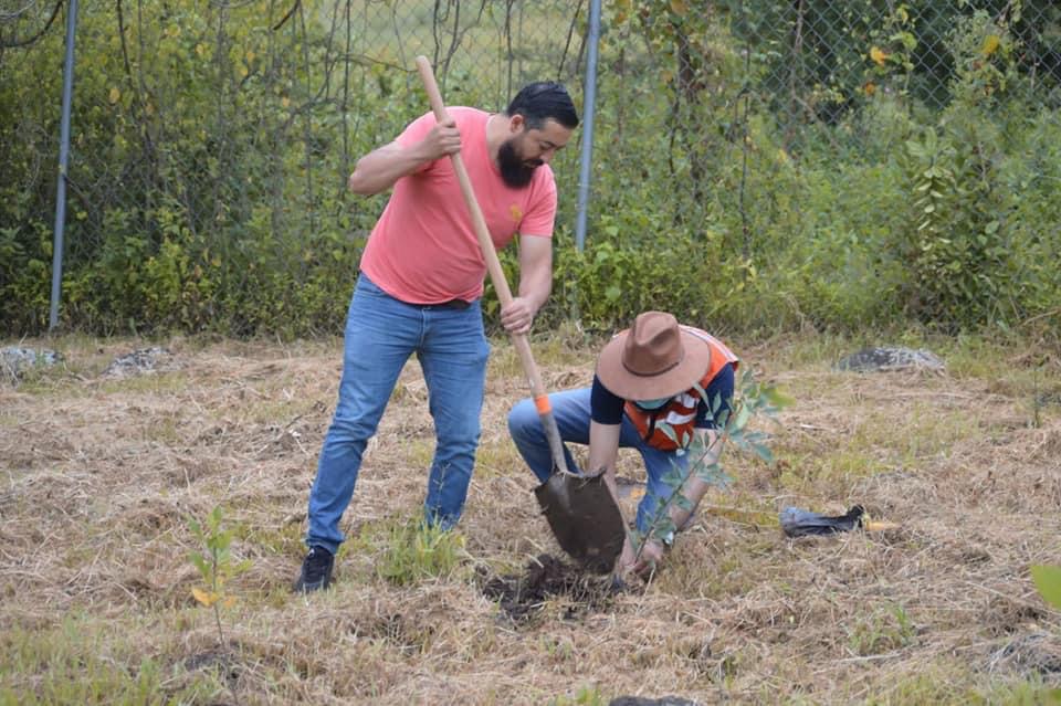 Reforestan con más de 100 árboles el Parque Nacional Lago de Camécuaro