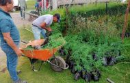 Realizan mantenimiento de áreas verdes en fraccionamiento Paseo del Bosque