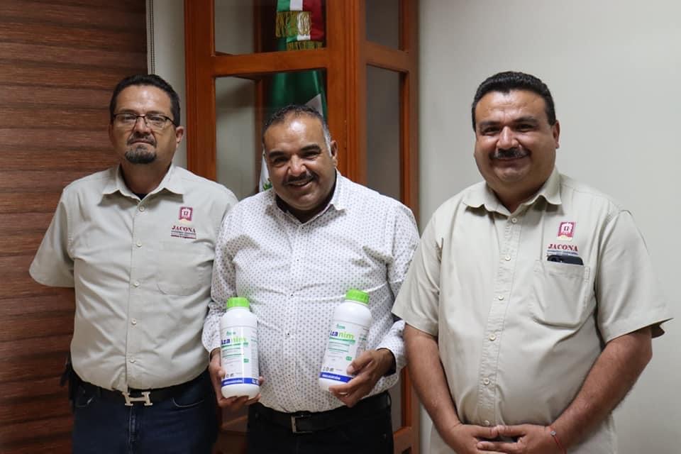 Pondrán en marcha en Jacona programa de Manejo Fitosanitario de Frutillas