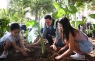 Presidente Carlos Soto da inicio a reforestación en plaza principal