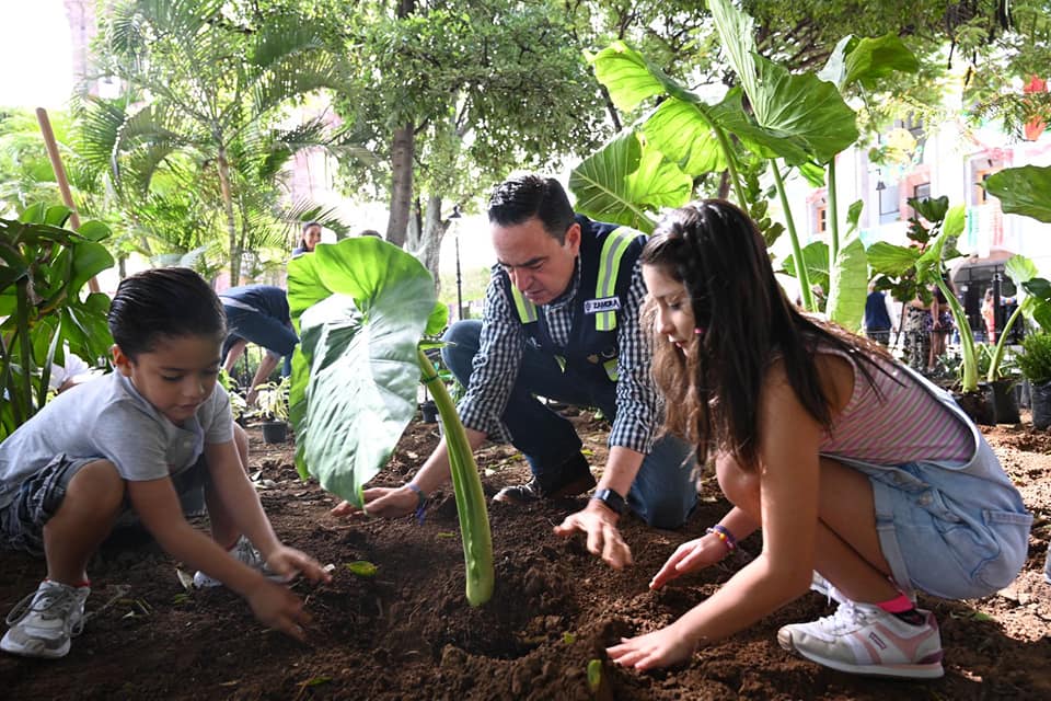 Presidente Carlos Soto da inicio a reforestación en plaza principal