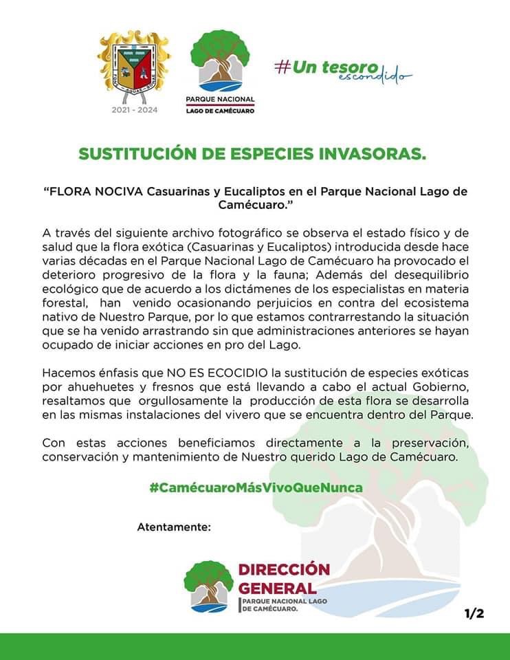 Necesaria la sustitución de especies invasoras en el Parque de Camécuaro