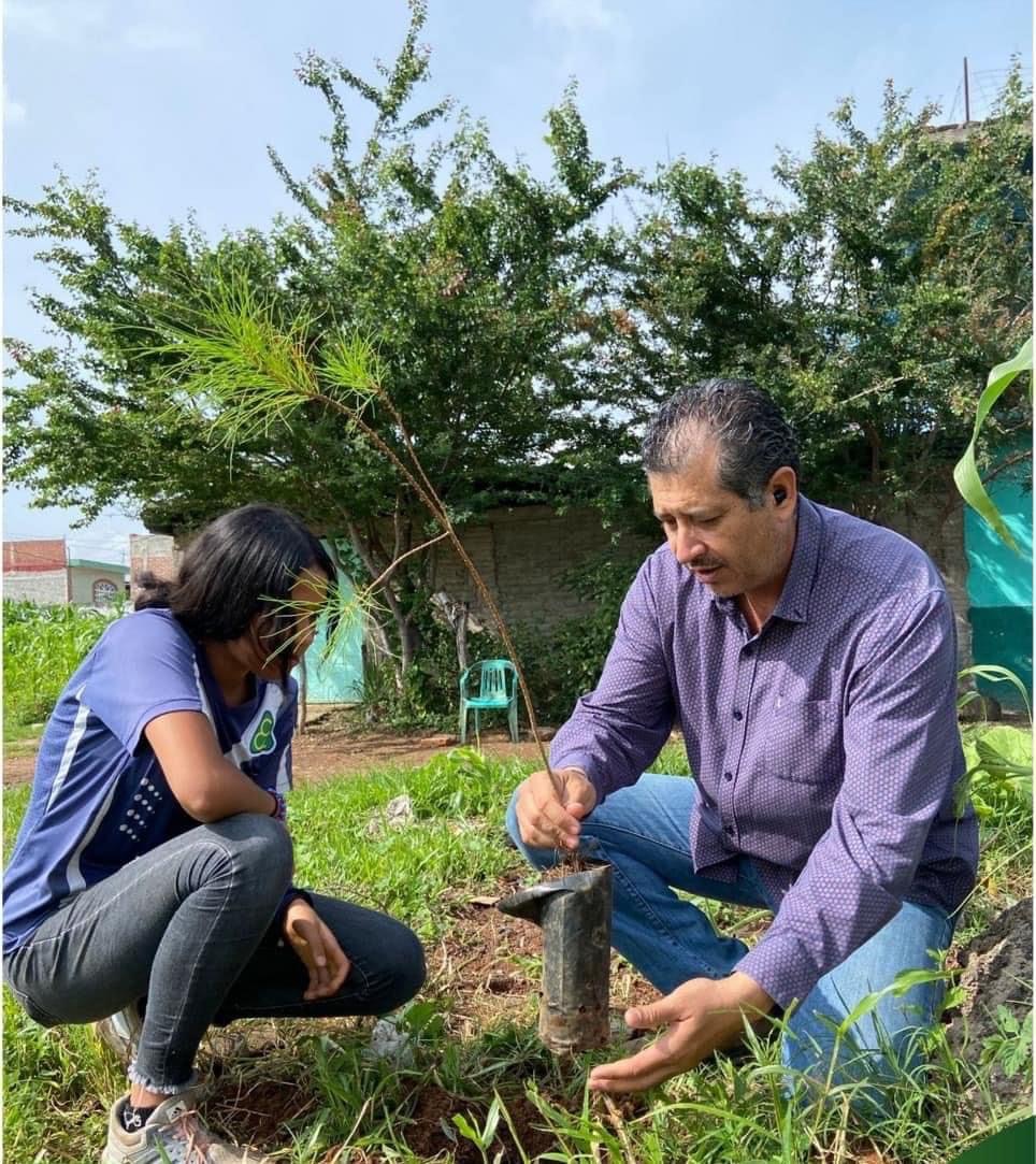 SAPAJ ofrece en donación pinos para reforestar y contribuir al cuidado del medio ambiente