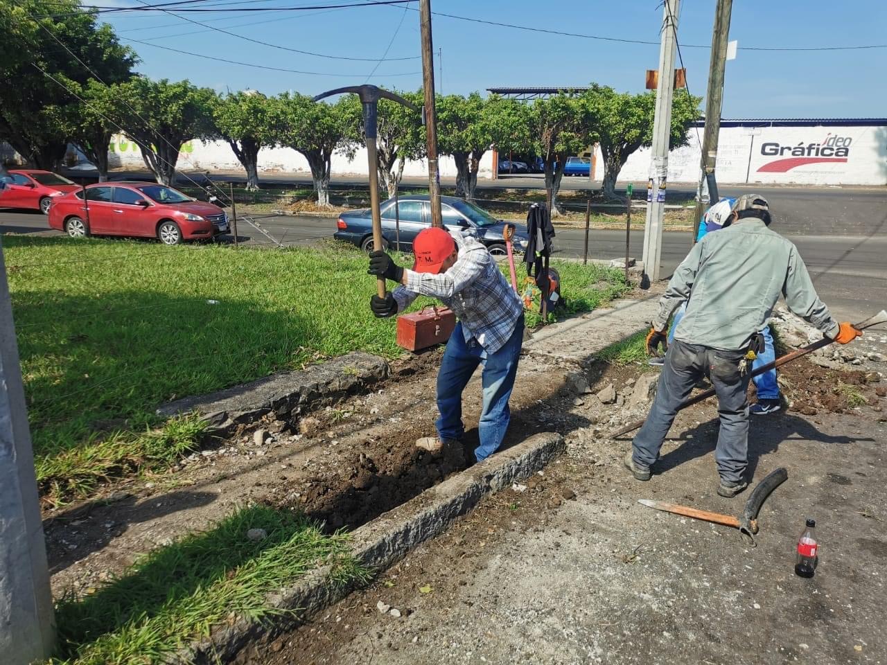 Obras públicas construirá rampa y tramo de banqueta para discapacitados en Arboledas