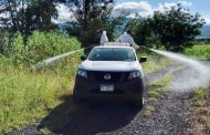 Esparcen hongo para control de plagas en campos zamoranos