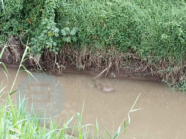 Localizan cadáver de una mujer en canal de riego de Zamora