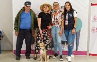 Jornada de esterilización a bajo costo en Tangancícuaro