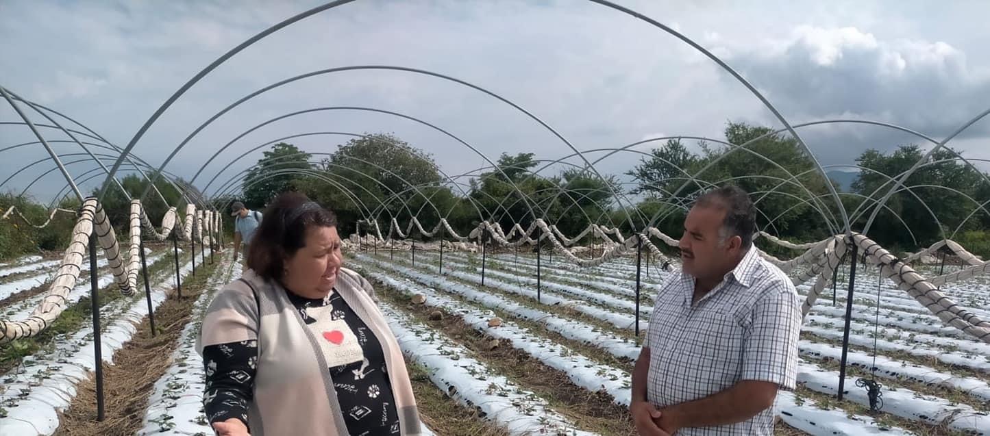 Con taller demostración productos en parcela, en Jacona impulsan acciones a favor del campo