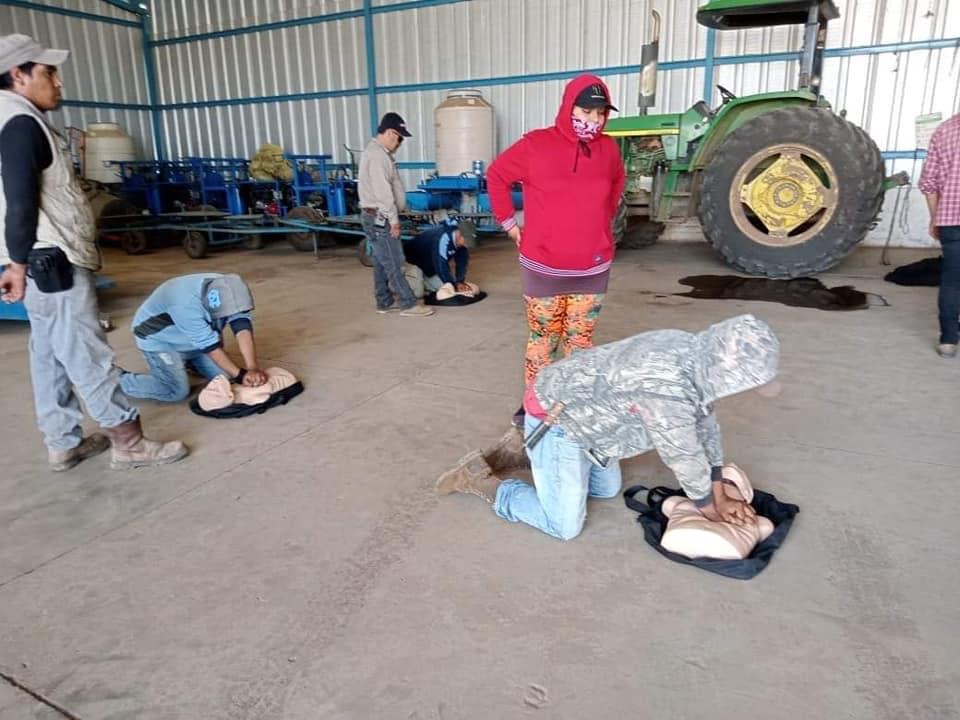 Brindan técnicas de primeros auxilios al personal de empresas agrícolas de Tangancícuaro