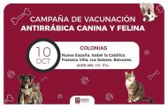 Inició en Jacona la semana de vacunación antirrábica canina y felina