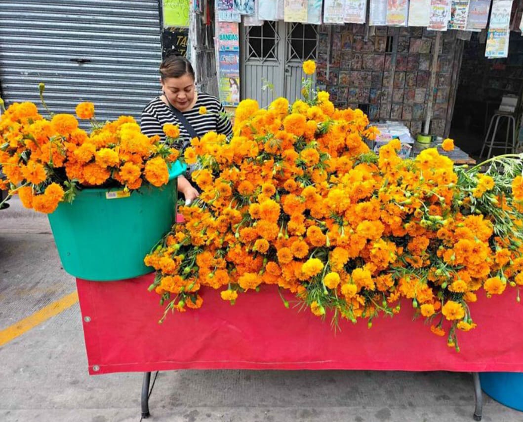 Al alza la flor de cempasúchil para día de muertos | El Independiente de  Zamora