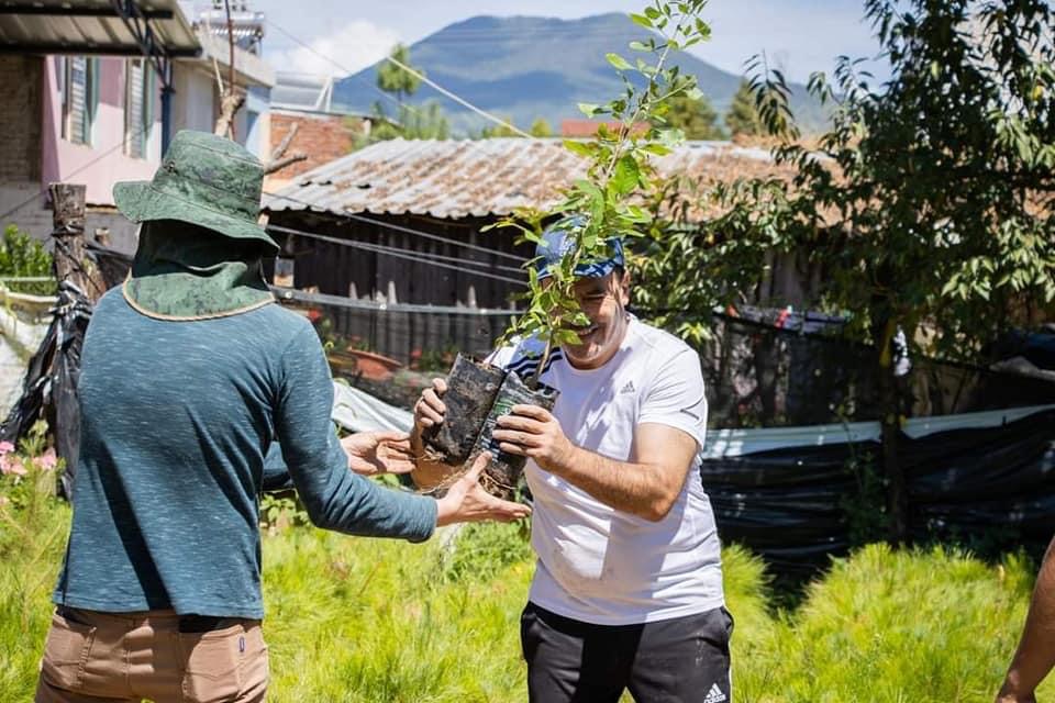 El alcalde Dr. David Melgoza Montañez recibió  20 mil árboles para el seguimiento del programa de reforestación