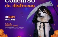 Realizarán concurso de disfraces de perros