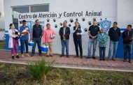 Arranca la jornada nacional de vacunación antirrábica canina y felina