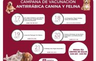 Continúa la Semana de Vacunación Antirrábica Canina y Felina