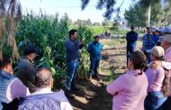 Agricultores de Perú, Ecuador y Colombia visitan islas agropecuarias de La Piedad